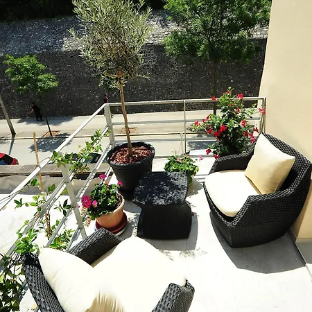 Gæstehus Scallop Regent