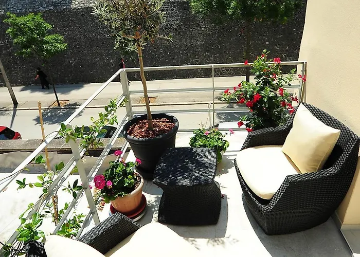 Guest house Scallop Regent